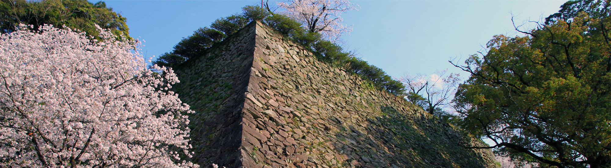 （トップ画像）延岡城跡