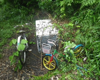 山林に投棄された自転車と冷蔵庫の画像4