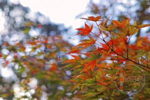 12月投稿2