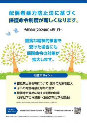 DV防止法改正①