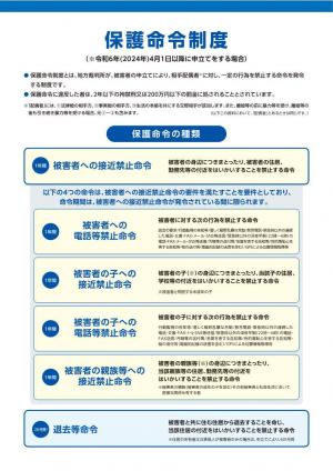 ＤＶ防止法改正②