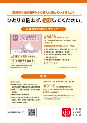 ＤＶ防止法改正④