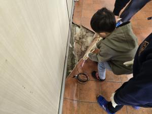 解体ワークショップ⑤