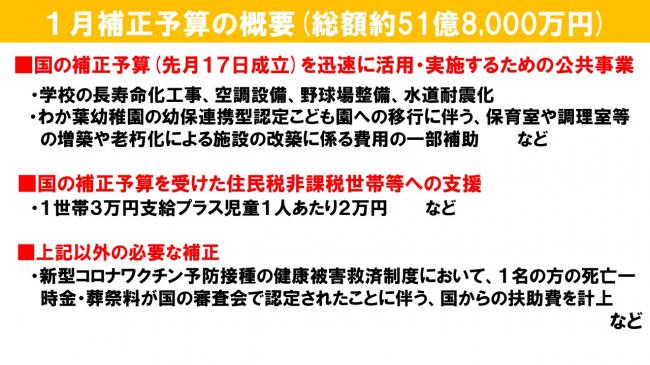 1月補正予算の概要