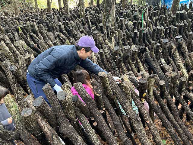 活動写真その１