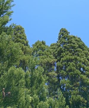 活動写真その2