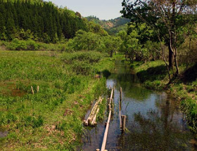 家田湿原(北川湿原イチ押しの場所) の画像