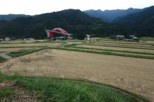 早中集落の現地写真
