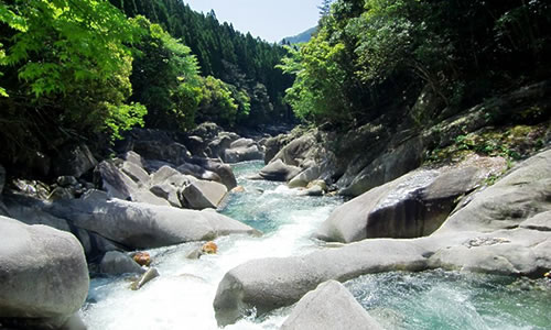 新緑の祝子川渓谷の画像