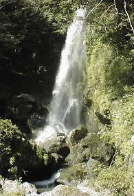 森谷観音滝の画像