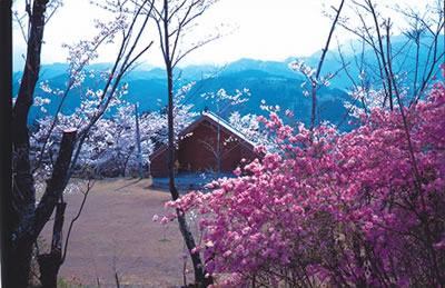 荒平公園の画像