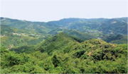 大崩山からの景色の画像