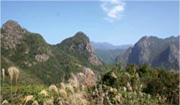 矢筈岳の画像