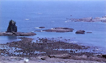 大間海岸の画像