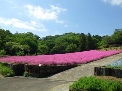 観光スポット紹介「延岡地域」延岡植物園の画像