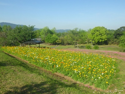 延岡植物園の画像2