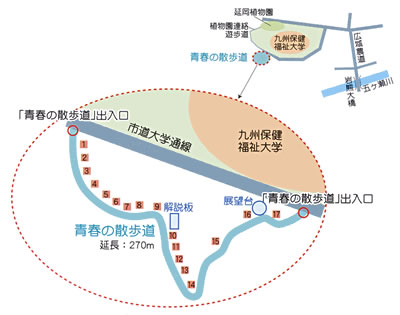 青春の散歩道