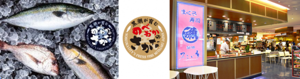 のべおかの魚および又こい家