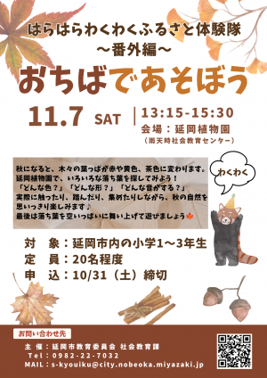 はらわく番外編チラシ