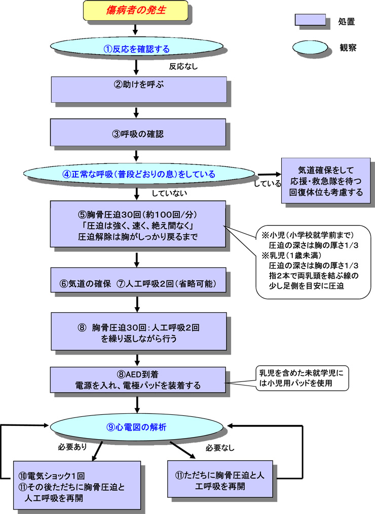 心肺蘇生法の流れの画像2