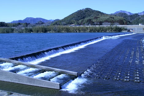 Damの画像