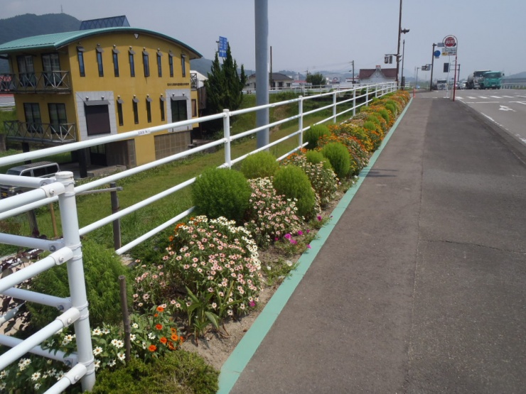 道路植栽の画像2