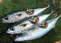 image:Miyazaki Fish Brand