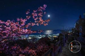 愛宕山展望台の写真