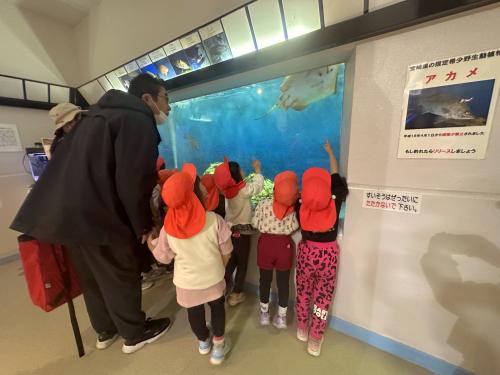水族館