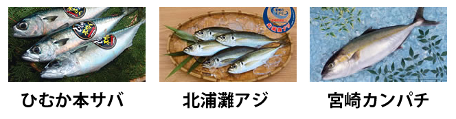 魚ブランドの写真