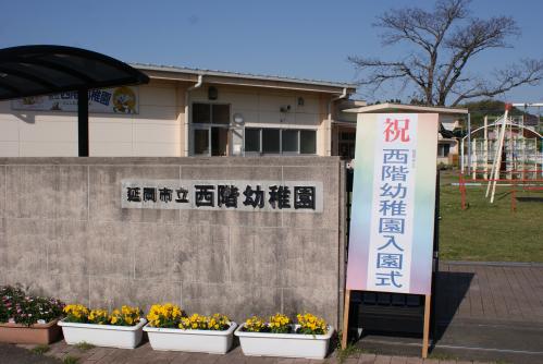 全体