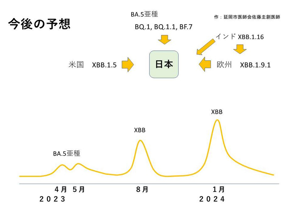 これからの流行予測