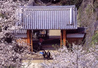 k̉摜