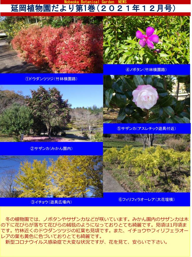 植物園だより第1巻1P