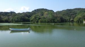 金堂ケ池(西階公園)