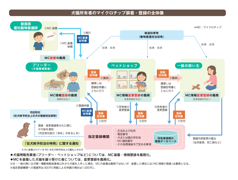 マイクロチップ装着の全体像