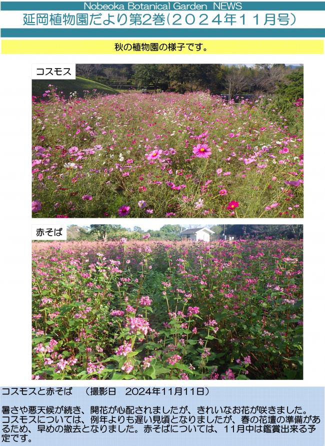 延岡植物園だより2巻-1