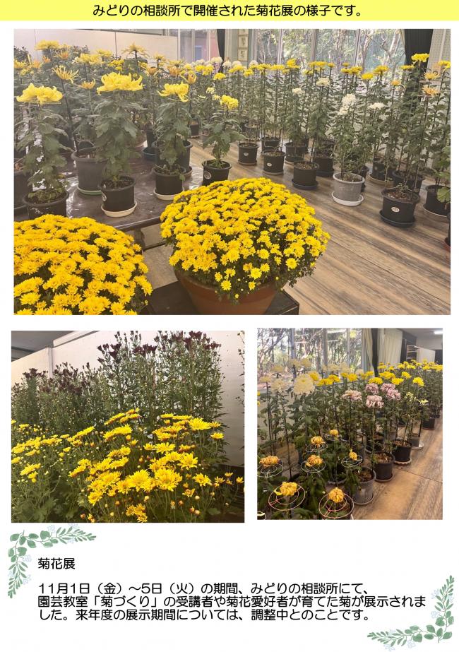 延岡植物園だより第2巻-3
