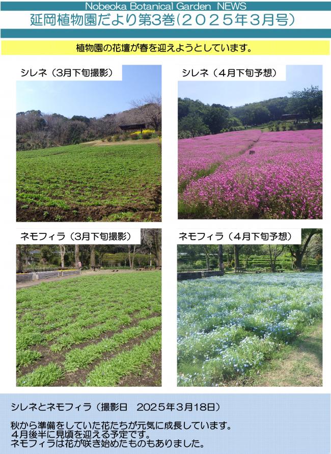 延岡植物園だより3巻-1