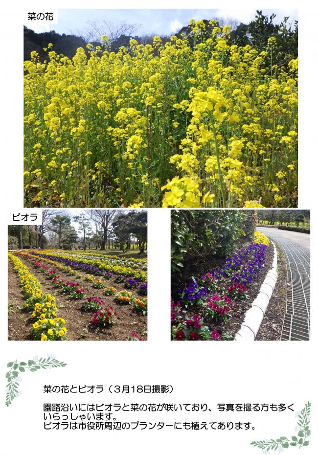 延岡植物園だより第3巻-2