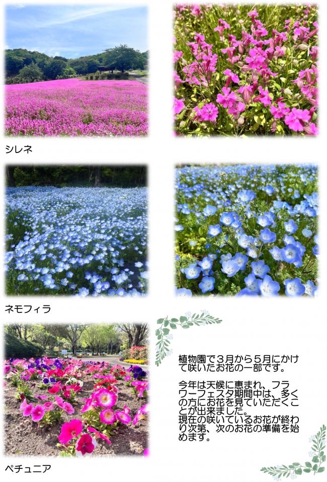 延岡植物園だより第1巻-2