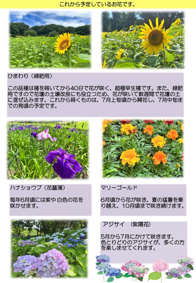 延岡植物園だより第1巻-3