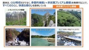 非炭素プレミアム価値