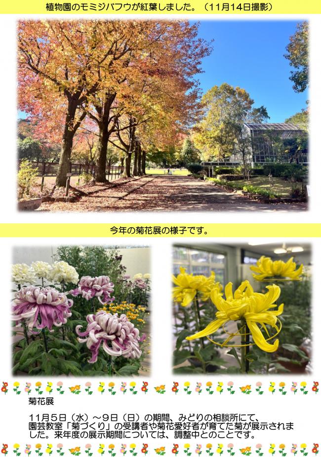 延岡植物園だより第2巻-3