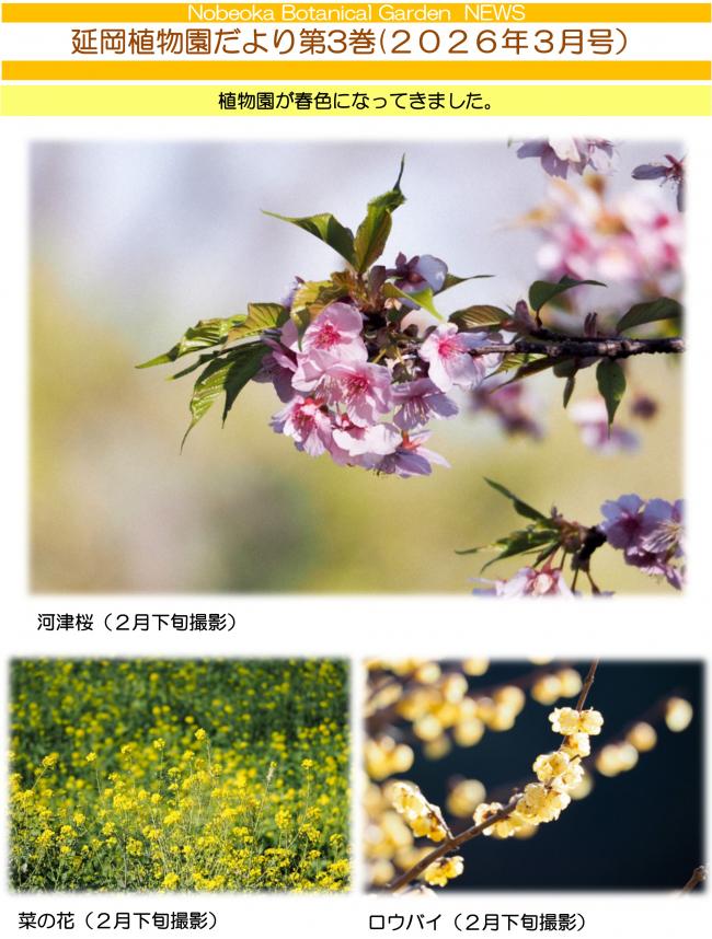 延岡植物園だより3巻-1