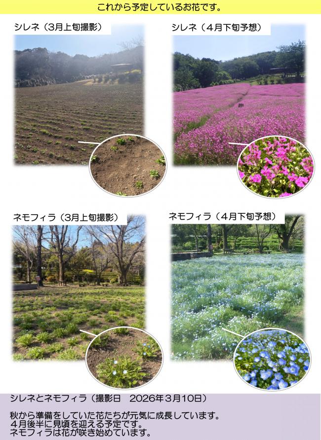 延岡植物園だより第3巻-2