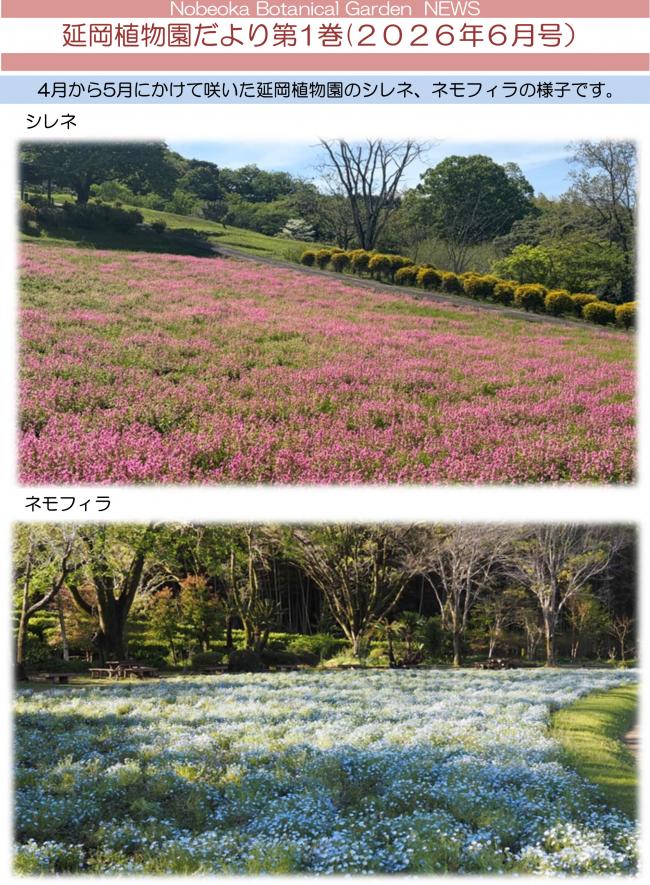延岡植物園だより1巻-1