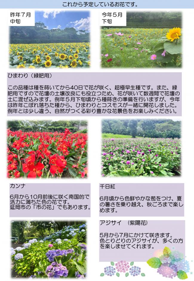 延岡植物園だより第1巻-3
